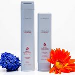 L’ANZA Healing ColorCare Silver Brightening Shampoo 1000 ml - Image 3