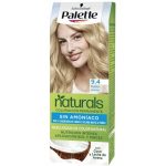 Naturals Color Creme By Palette #9.4-rubio Arena 1 U