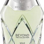 Bentley Beyond The Collection Wild Vetiver - 100 ml - eau de parfum spray - unisexparfum