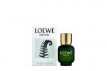 ESENCIA by Loewe 100 ml - Eau De Toilette Spray - Image 3