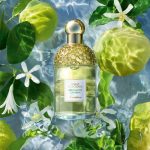 Guerlain Aqua Allegoria Bergamote Calabria EDT U 125 ml - Image 2