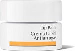Anti-Rimpel Lip Crème Dr. Hauschka Lip Balm (4,5 ml) - Image 3