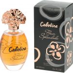 Cabotine Fleur Splendide by Parfums Gres 100 ml - Eau De Toilette Spray