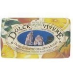 Nesti Dante Dolce Vivere Capri   Soap