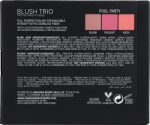 Anastasia Beverly Hills - Blush Trios - Pool Party - Image 17