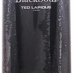 Ted lapidus Black Soul - 100 ml - Eau de toilette