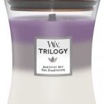 WoodWick Trilogy Hourglass Medium - Amethyst Sky
