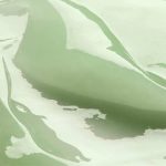 Superfood Matcha Eye Dew - OsvězujIcI OčnI Gel 15ml - Image 2