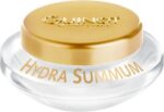 Guinot Creme Guinot Face Care Moisturising Creme Hydra Summum Cream 50 ml