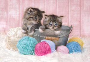 Clementoni Legpuzzel Supercolor Sweet Kittens 104 Stukjes - Image 2