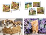 Clementoni Puzzel Superkit Animals 4-in-1 30 Stukjes - Image 3