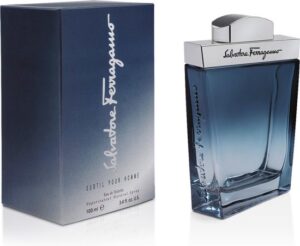 Salvatore Ferragamo Subtil Pour Homme Eau de Toilette 100ml Spray - Image 3