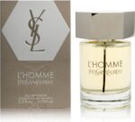 Yves Saint Laurent L'homme (m) Edt 100 Ml Fr - Image 2