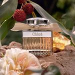 Chloé Chloé - 75 ml - eau de toilette spray - damesparfum - Image 2