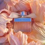 Chloé Chloé - 75 ml - eau de toilette spray - damesparfum - Image 3