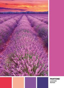 Clementoni Legpuzzel - Pantone Puzzle Collectie - Vivid Viola - 1000 stukjes, puzzel volwassenen - Image 2
