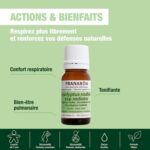 PranarOm Essential Oil #eucalyptus Radiata 10 Ml - Image 2