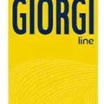 Styling Mousse Giorgi Curly Nº4 (250 ml) - Image 3