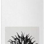 Deodorant Spray Solo Loewe (100 ml) - Image 4
