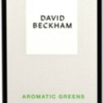 David Beckham Aromatic Greens Eau de Parfum Spray 100ml - Image 3