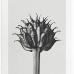Loewe - Herenparfum - Solo Atlas - Eau de parfum 100 ml - Image 4