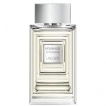 Lalique Hommage à L'Homme - 50 ml - eau de toilette spray - herenparfum - Image 4