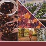 Yankee Candle Autumn Daydream Signature Large Jar - Image 2