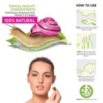 BiovEne Active Renewal Ultra Regenerating Facial Serum Treatment 30 Ml - Image 2