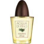 Pino Silvestre Acqua Di Pino Fougere Eau De Cologne Concentree Spray 125 ml for Men