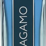 Herenparfum Salvatore Ferragamo EDP Ferragamo Intense Leather 100 ml - Image 3