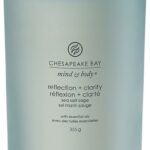 Chesapeake Bay Reflection & Clarity - Sea Salt Sage Large Candle - Image 4