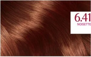 Excellence Cream Tint Hair Color By L'oreal #6.41-avellana - Image 2