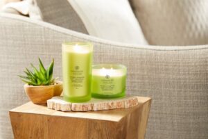 Chesapeake Bay Awaken & Invigorate - Lemongrass Eucalyptus 3-Wick Candle - Image 3
