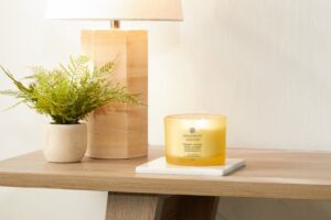 Chesapeake Bay Strength & Energy - Pineapple Coconut 3-Wick Candle - Image 3