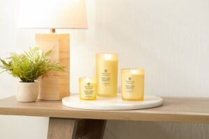 Chesapeake Bay Strength & Energy - Pineapple Coconut Large Candle - Image 3