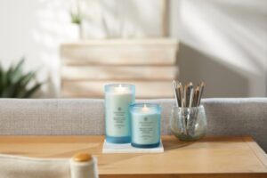 Chesapeake Bay Reflection & Clarity - Sea Salt Sage Large Candle - Image 3