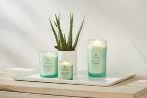 Chesapeake Bay Balance & Harmony - Waterlily Pear 3-Wick Candle - Image 3
