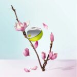 DKNY Be Delicious 30 ml - Eau de Parfum - Damesparfum - Image 17