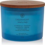 Chesapeake Bay Confidence & Freedom - Oak Moss Amber 3-Wick Candle