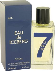 Iceberg Eau de Iceberg Cedar Eau de Toilette Spray 100 ml - Image 3
