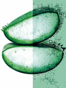 Fructis Hair Food Aloe Vera Moisturizing Shampoo By Garnier 350 Ml - Image 3