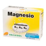 Vallesol Effervescent Magnesium B 24comp