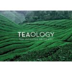 Tea Balm Lip #matcha Tea By Teaology 4 G - Image 3