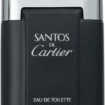 Cartier Santos de Cartier 100 ml - Eau de Toilette - Herenparfum