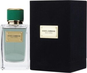 Dolce & Gabbana Velvet Cypress Eau De Parfum 150 ml (unisex) - Image 2