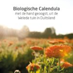 Weleda Calendula Alles-In-Één Balsem - 25g - Image 2