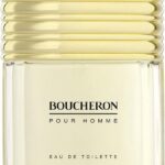 Boucheron Boucheron Eau De Toilette Spray 100 ml for Men