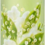 Yardley Lily of the Valley Duschgel 250ml - Image 2