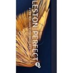 Wella Professionals Koleston Perfect Me+ - Haarverf - 9/38 Rich Naturals - 60ml