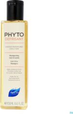 Anti-Frizz Shampoo Phyto Paris Phytodefrisant (250 ml)